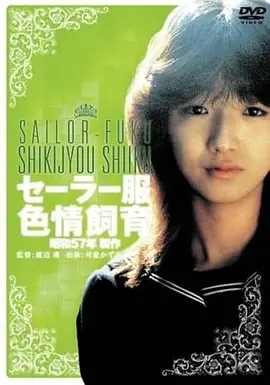 钢琴调音师 高分文艺电影在线观看